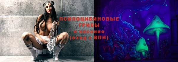 spice Арсеньев