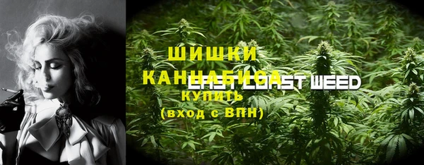 spice Арсеньев