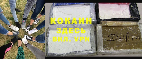 spice Арсеньев