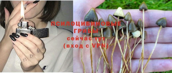 ALPHA-PVP Армянск